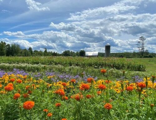 A Farm, a Compaction Study and a Fist Full of Soil