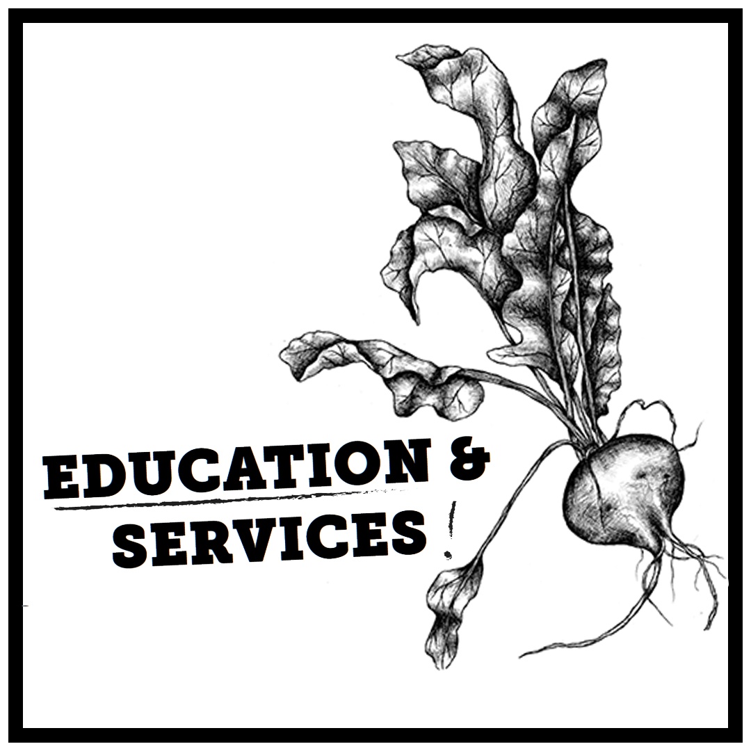 Text: Education and Services