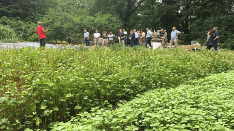 Photo from the Seeds of Solidarity Farm Tour : A group of people stand in a field of bright green